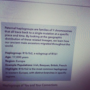 Paternal Haplogroup